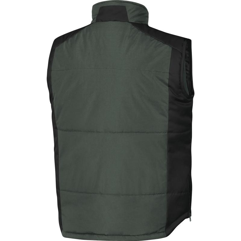 FIDJI2 GR back