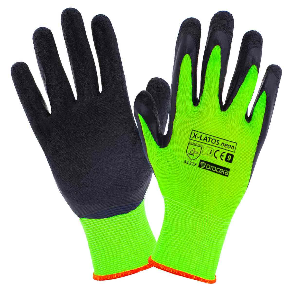 X-LATOS NEON PROCERA X-LATOS NEON